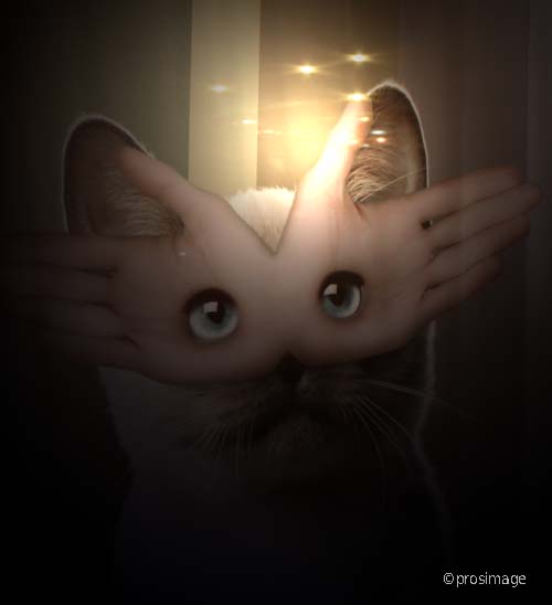 chat