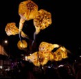 /album/quand-limaginaire-rentre-le-reel-ou-lille-3000/meduses-jpg/