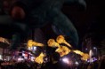 /album/apocalypse-now-ou-lille-3000-album-2-/defiles-jpg/