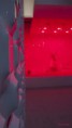 /album/lazer-game%2c-jeux-de-lumi%c3%a8re-ou-lille-3000/licorne-jpg/