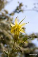 /album/un-coup-doeil-dans-le-jardin-/a001-jpg/