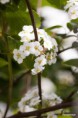 /album/un-coup-doeil-dans-le-jardin-/a007-jpg/