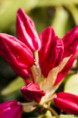 /album/un-coup-doeil-dans-le-jardin-/a008-jpg/