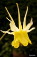 /album/un-coup-doeil-dans-le-jardin-/a031-jpg/