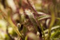 /album/jardin-botanique-de-meise-tresor-naturel-/a007-jpg1/
