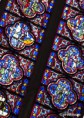 /album/amiens-sa-cathedrale-/img-0813-jpg/