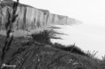 /album/escapade-en-normandie-/falaise-jpg/