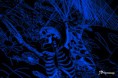 /album/autoportrais/mort-jpg/
