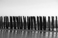 /album/wissant-sans-web-sans-net-juste-la-vie-a-wissant/prison-jpg/