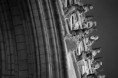 /album/une-escapade-moutardee-aux-couleurs-de-la-flandres/img-0087-jpg/